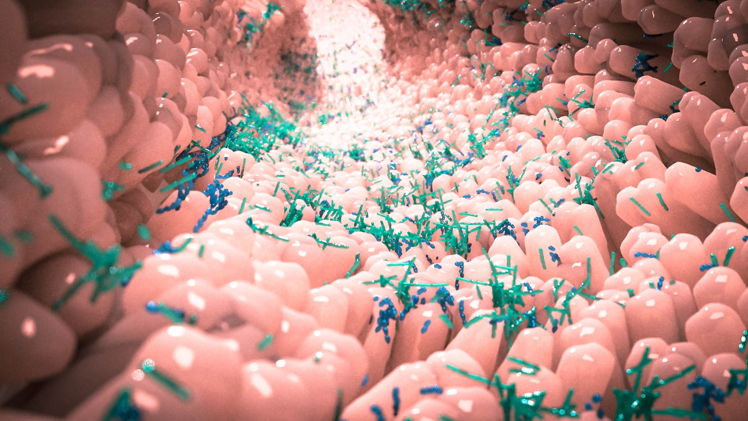 Small Intestine Bacterial Overgrowth