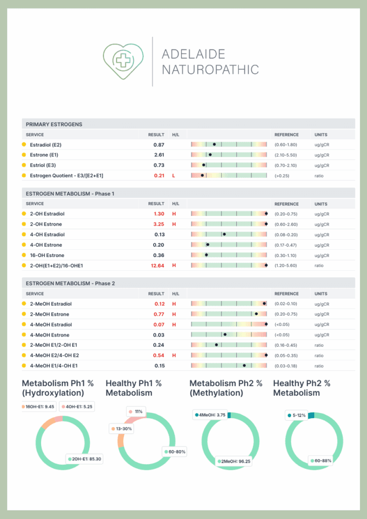 Adelaide DUTCH testing 2